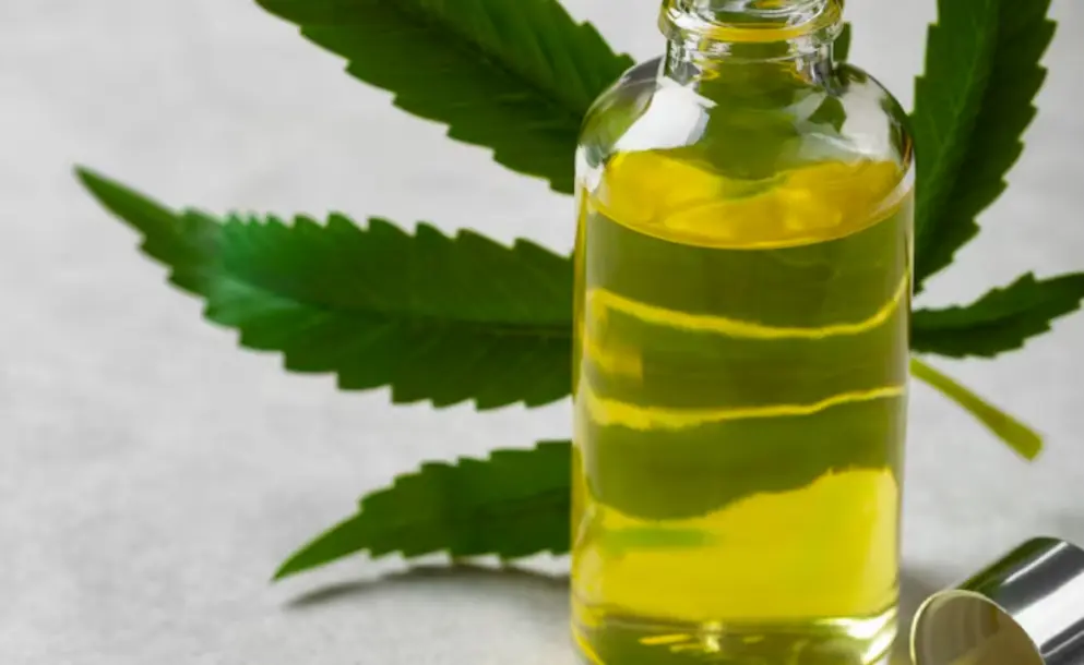 PROYECTO EN SANTA FE: CANNABIS MEDICINAL PODRÍA VENDERSE EN FARMACIAS