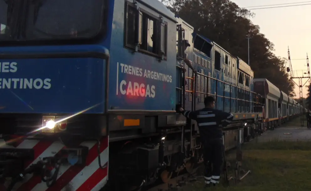 UNA MUJER FUE EMBESTIDA POR UN TREN MIENTRAS FUMABA EN LA PUERTA DE SU CASA