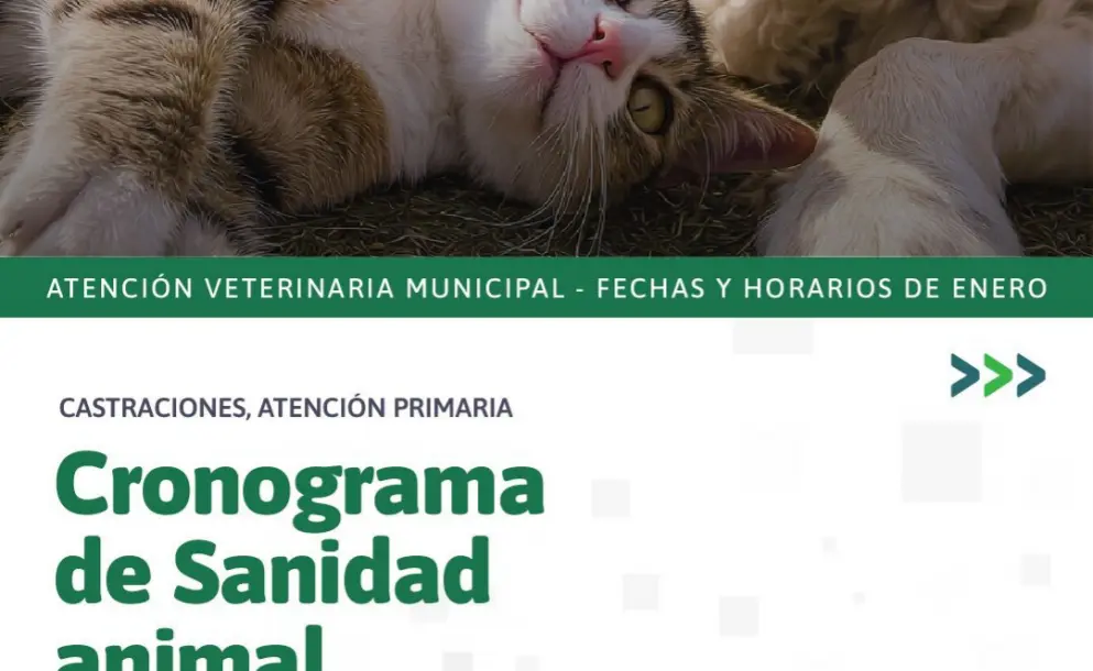 SANIDAD ANIMAL:  ESTOS SON  LOS DÍAS Y HORARIOS DE ATENCIÓN EN ENERO