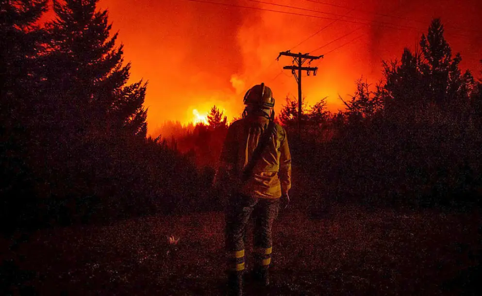 EL FUEGO AVANZA EN LA PATAGONIA Y EL PRESUPUESTO PARA PREVENCIÓN SE ACHICA