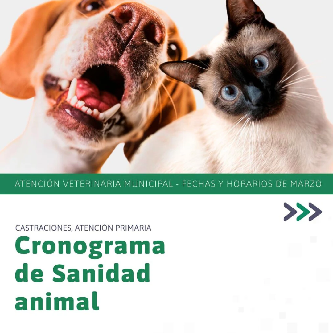 SANIDAD ANIMAL: CRONOGRAMA DE CASTRACIONES Y ATENCIÓN VETERINARIA DE MARZO