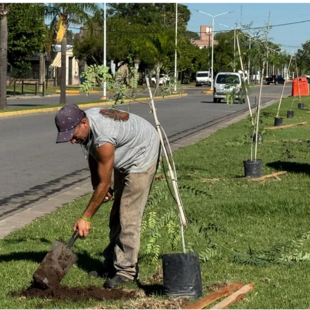 FORESTACION URBANA SE PLANTARON 40 ARBOLITOS EN EL PASEO DE LA ESTACION