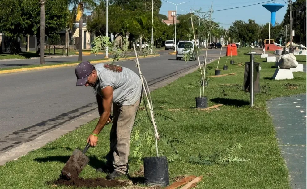 FORESTACIÓN URBANA: SE PLANTARON 40 ÁRBOLITOS EN EL PASEO DE LA ESTACIÓN
