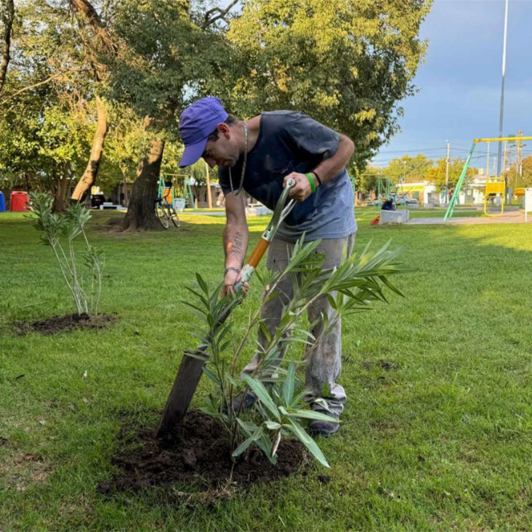 FORESTACIÓN URBANA: PLANTAN ÁRBOLES NATIVOS EN DOS PLAZAS CLAVE DE LA CIUDAD