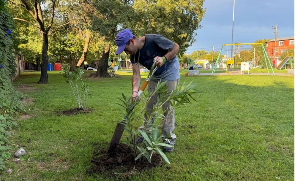 FORESTACIÓN URBANA: PLANTAN ÁRBOLES NATIVOS EN DOS PLAZAS CLAVE DE LA CIUDAD