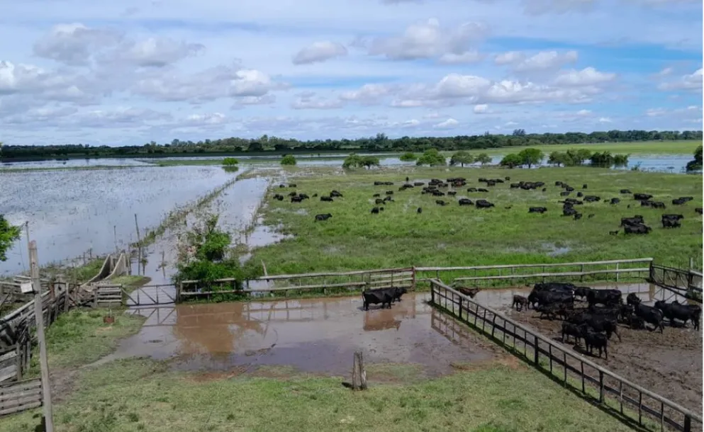 EXCESOS HÍDRICOS IMPACTAN EN LA PRODUCCIÓN Y OBLIGAN A MEDIDAS URGENTES EN SANTA FE