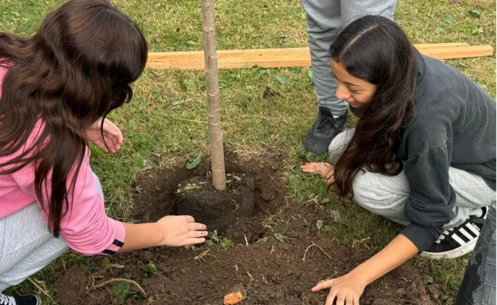 ÁRBOLES, TALLERES Y EDUCACIÓN AMBIENTAL: EL NUEVO PASO DEL PLAN VERDE 