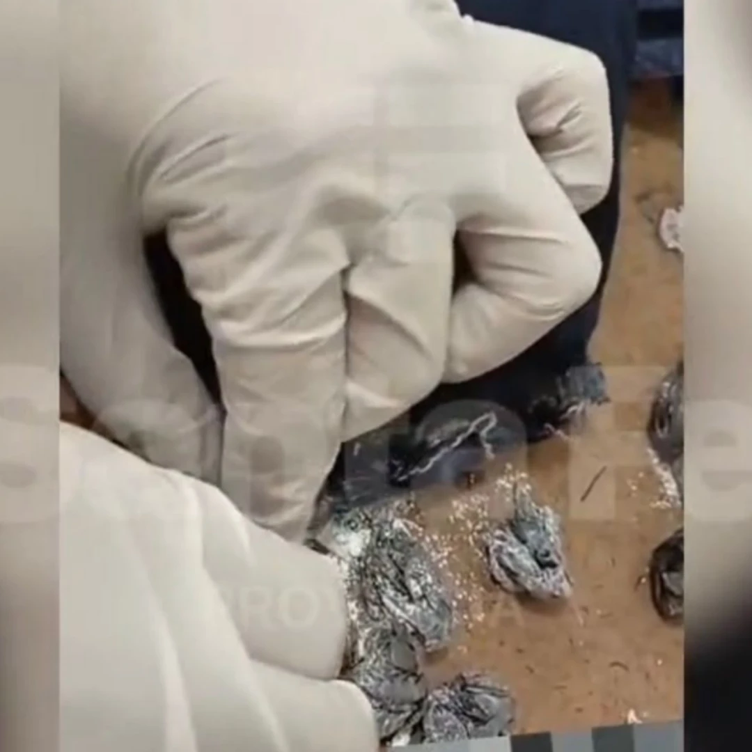 DETECTARON MARIHUANA Y COCAÍNA OCULTAS DURANTE REQUISAS EN LA CÁRCEL DE LAS FLORES