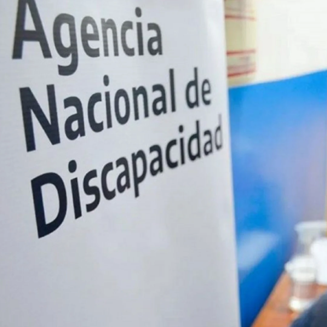 EL GOBIERNO OFICIALIZÓ UN NUEVO AUMENTO PARA PRESTACIONES POR DISCAPACIDAD