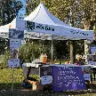 CON CHARLAS Y ACTIVIDADES, ASÍ PASÓ LA JORNADA POR EL PARTO RESPETADO