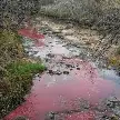 FUERTE PREOCUPACIÓN EN CASILDA POR EL COLOR ROJIZO DEL AGUA EN EL CANAL CANDELARIA