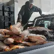 TRES DETENIDOS Y MÁS DE 38 MIL KILOS DE PESCADO DECOMISADOS EN CONTROLES CONTRA LA CAZA ILEGAL
