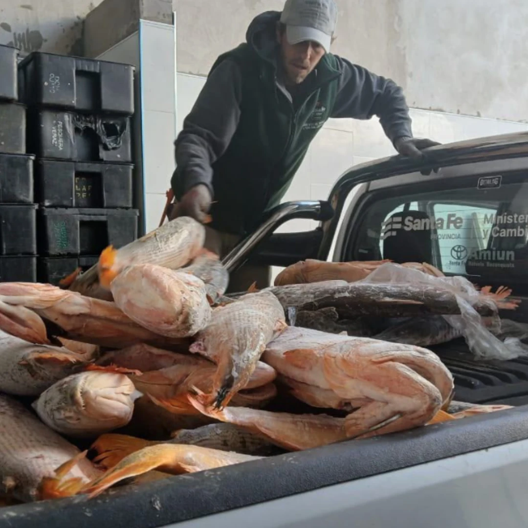 TRES DETENIDOS Y MÁS DE 38 MIL KILOS DE PESCADO DECOMISADOS EN CONTROLES CONTRA LA CAZA ILEGAL
