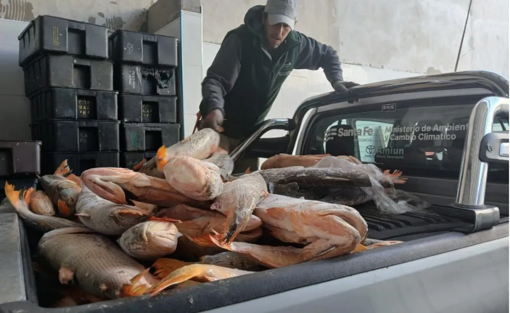 TRES DETENIDOS Y MÁS DE 38 MIL KILOS DE PESCADO DECOMISADOS EN CONTROLES CONTRA LA CAZA ILEGAL