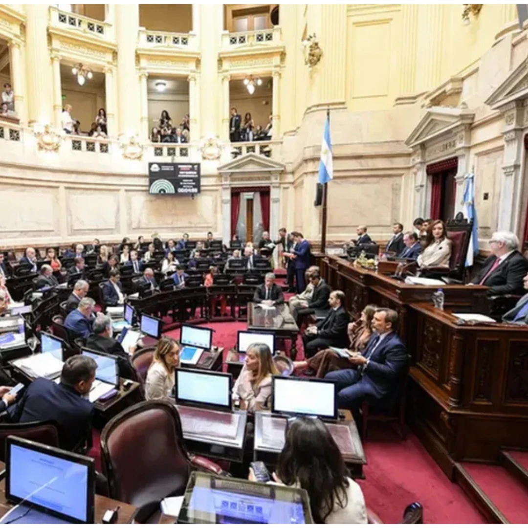 EL SENADO VOTÓ Y EL PROYECTO DE PROPIEDAD PRIVADA SIGUE SU TRATAMIENTO EN EL RECINTO