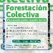 JORNADA DE FORESTACIÓN COLECTIVA: HABRÁ PLANTACIÓN DE ÁRBOLES, TALLERES Y SORTEOS