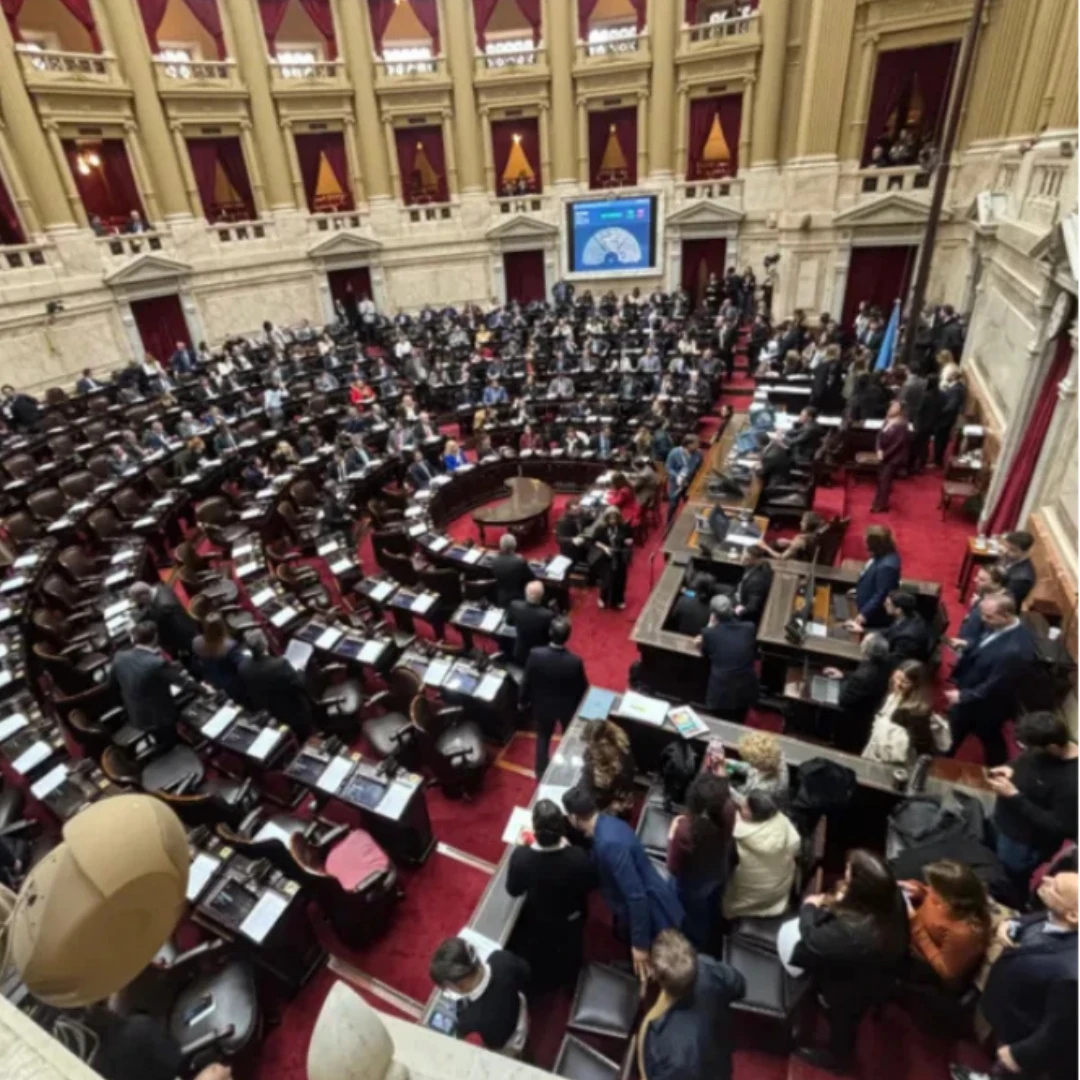 NOCENCIA FISCAL: EL OFICIALISMO LOGRÓ 139 VOTOS Y ENVIÓ EL PROYECTO AL SENADO
