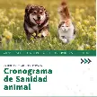 CASTRACIONES Y ATENCIÓN VETERINARIA: EL CRONOGRAMA DEL MÓVIL DE SANIDAD ANIMAL