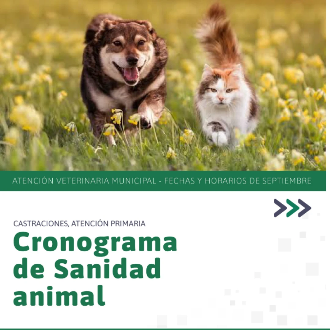 CASTRACIONES Y ATENCIÓN VETERINARIA: EL CRONOGRAMA DEL MÓVIL DE SANIDAD ANIMAL