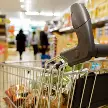 LA INFLACIÓN DE AGOSTO FUE DEL 1,7% Y ACUMULÓ 33,5% EN LOS ÚLTIMOS DOCE MESES