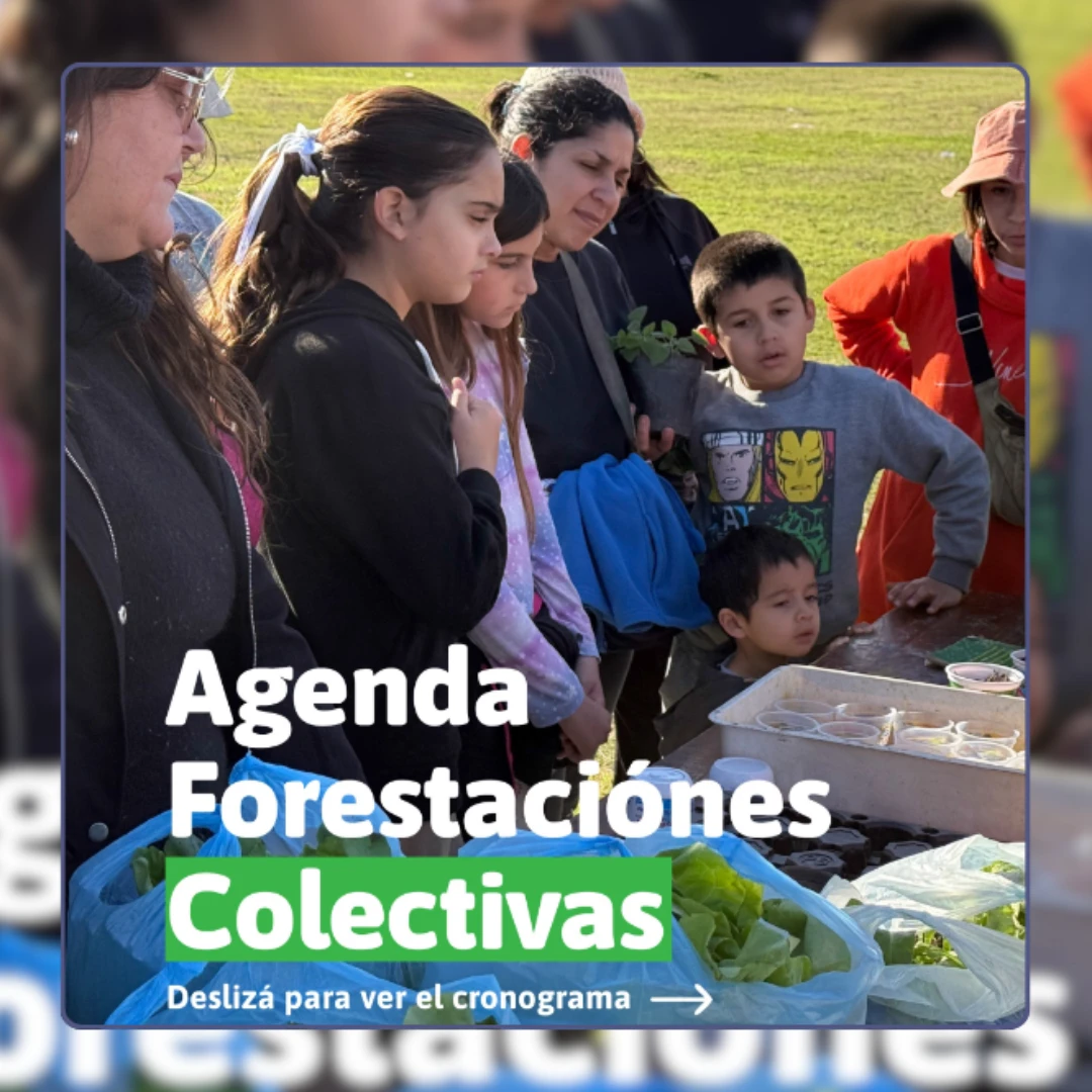 BOSQUE AZUL, PRADOS DEL SOL Y TIERRA DE SUEÑOS TENDRÁN JORNADAS DE FORESTACIÓN