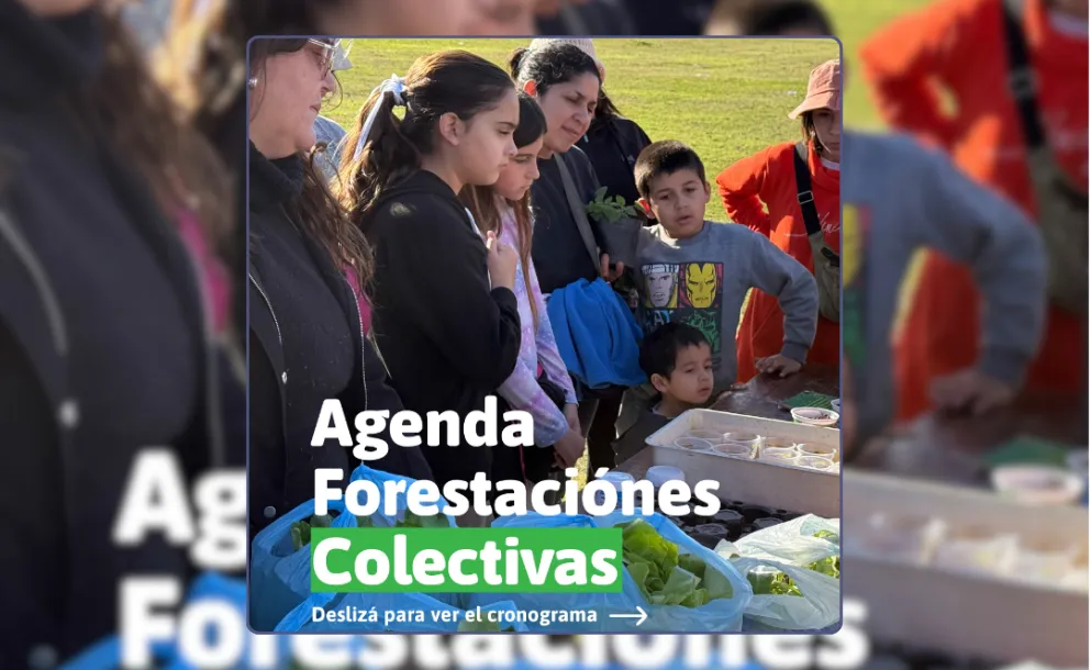BOSQUE AZUL, PRADOS DEL SOL Y TIERRA DE SUEÑOS TENDRÁN JORNADAS DE FORESTACIÓN
