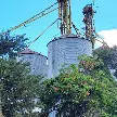 HIGIENE Y SEGURIDAD DERIVARON EN LA CLAUSURA DE UNA PLANTA EN SAN JERÓNIMO SUD