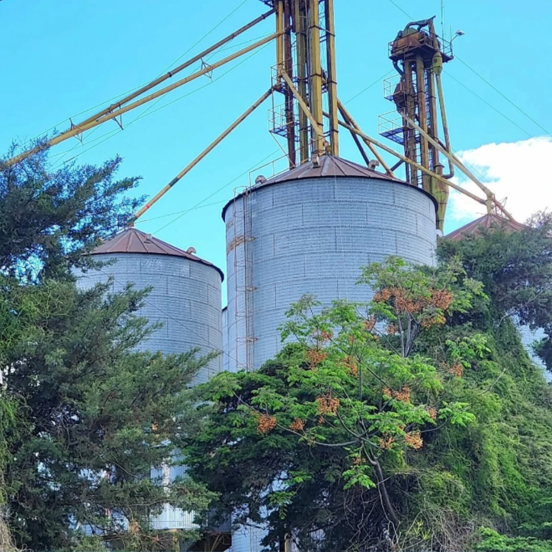 HIGIENE Y SEGURIDAD DERIVARON EN LA CLAUSURA DE UNA PLANTA EN SAN JERÓNIMO SUD