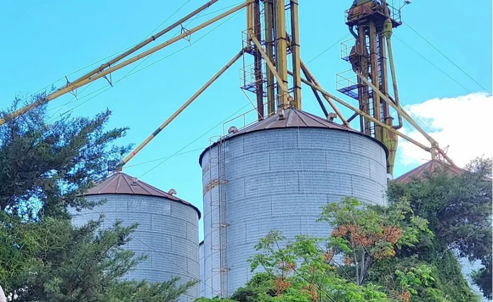 HIGIENE Y SEGURIDAD DERIVARON EN LA CLAUSURA DE UNA PLANTA EN SAN JERÓNIMO SUD