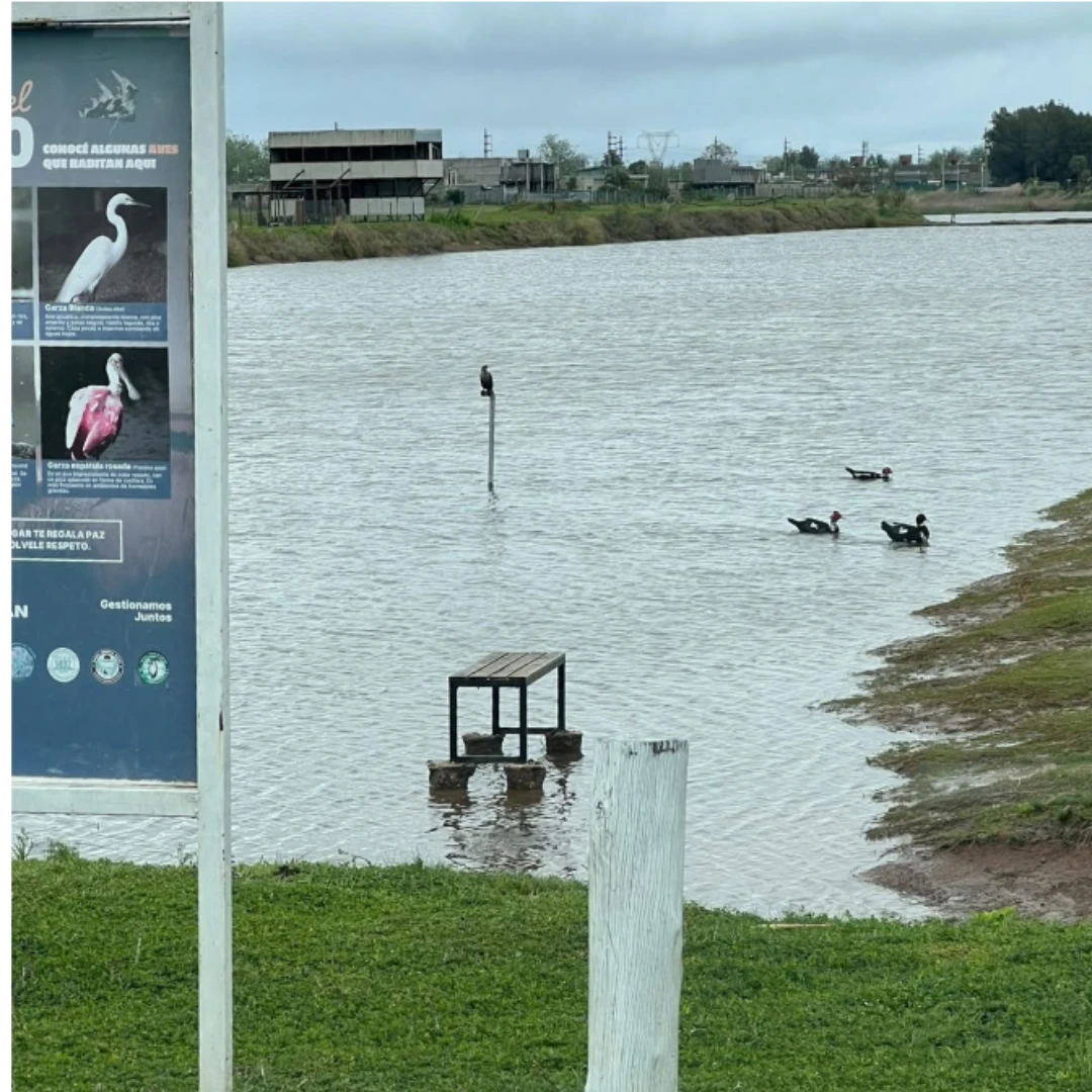 INDIGNACIÓN EN TIERRA DE SUEÑOS 3: ARRANCARON UN BANCO Y LO ARROJARON AL LAGO