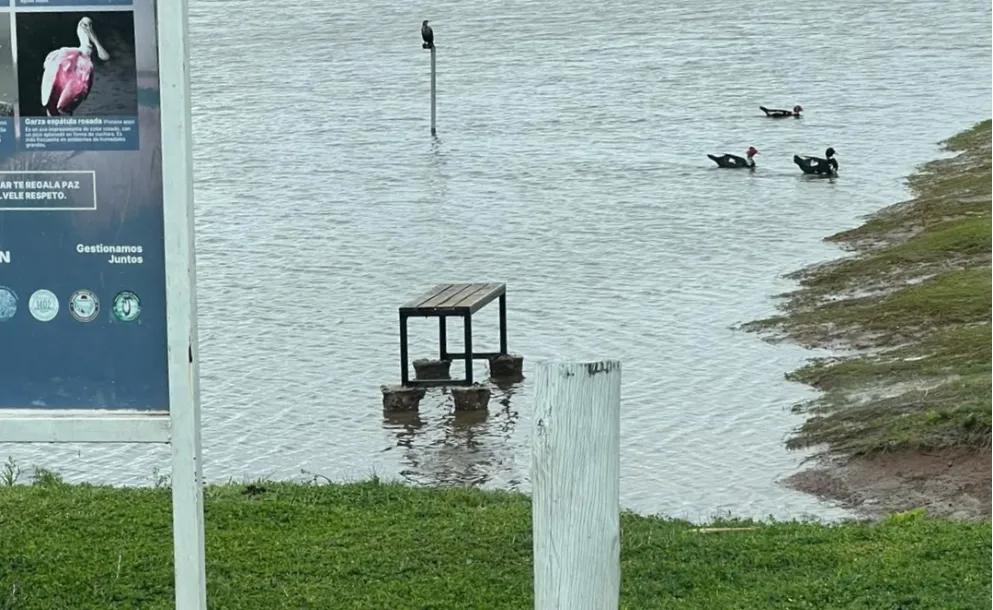INDIGNACIÓN EN TIERRA DE SUEÑOS 3: ARRANCARON UN BANCO Y LO ARROJARON AL LAGO