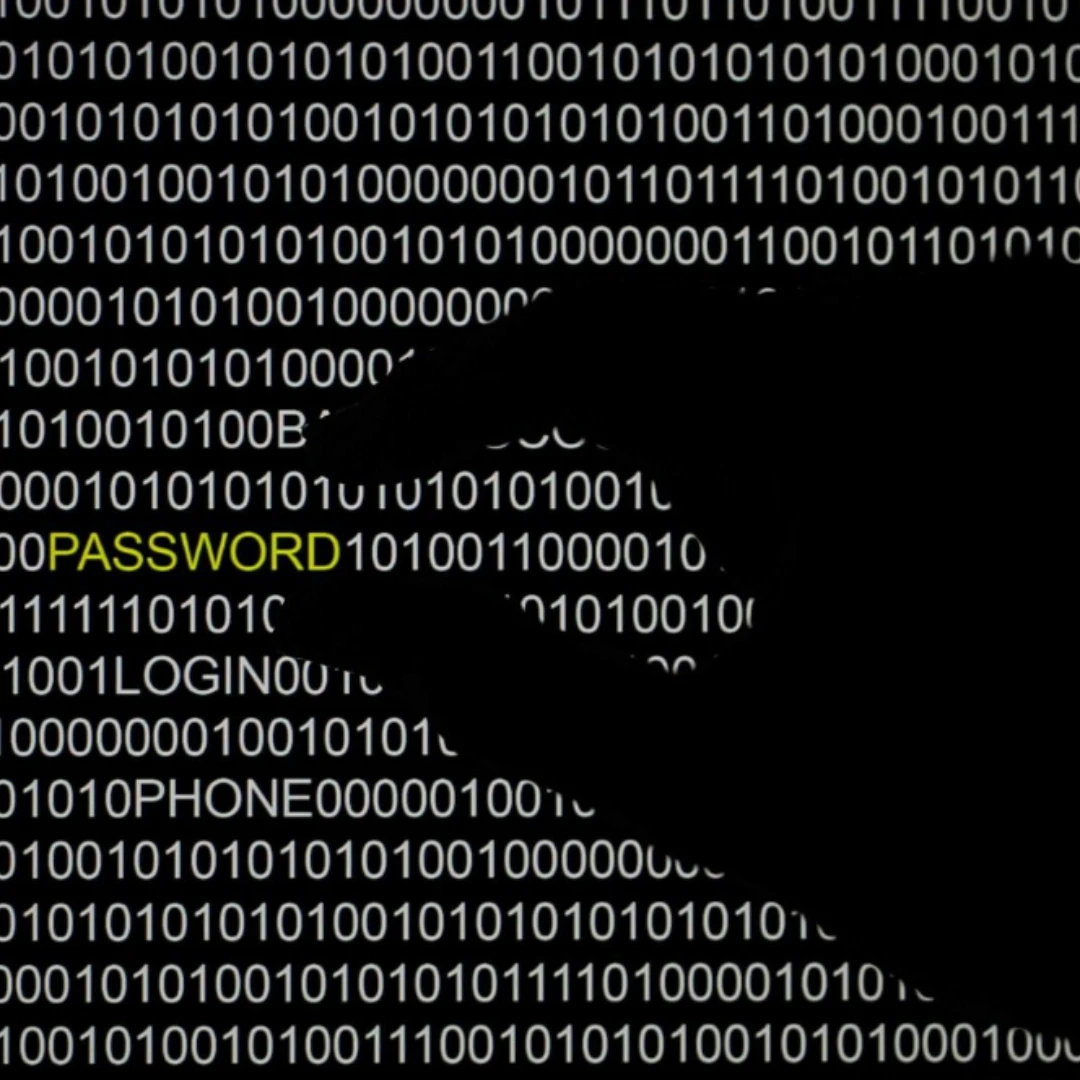 ¡ALERTA EN TODO EL PAÍS! POR QUÉ APAGARON DE URGENCIA LOS SITIOS WEB MUNICIPALES