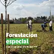 ROLDÁN MÁS VERDE:DOS JORNADAS DE FORESTACIÓN COLECTIVA PARA ESTE SÁBADO