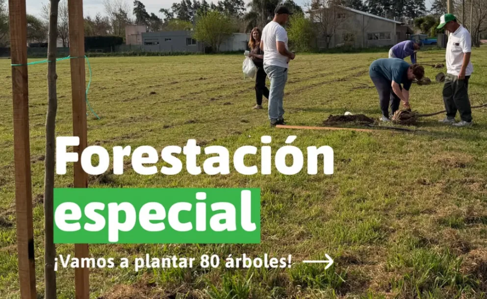 ROLDÁN MÁS VERDE:DOS JORNADAS DE FORESTACIÓN COLECTIVA PARA ESTE SÁBADO