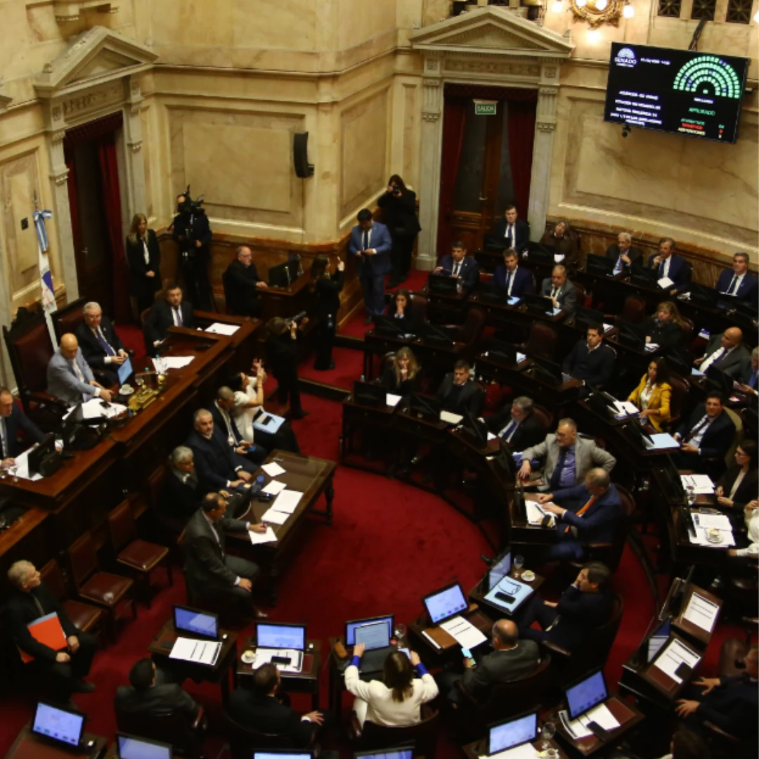 EL SENADO DIO MEDIA SANCIÓN AL PROYECTO DE REFORMA DE LA LEY DE SALUD MENTAL